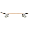 Arbor Skateboards Venice Pilsner 28.75" C profile