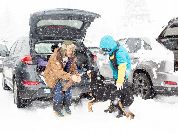 Bay Area to Tahoe travel checklist