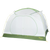 4786-Kiwi