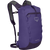 Dream Purple