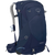 Cetacean Blue