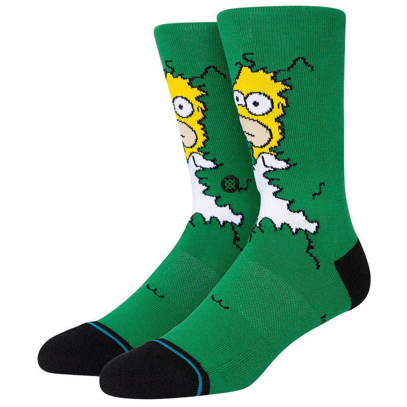 Simpson's Homer, Featured Image