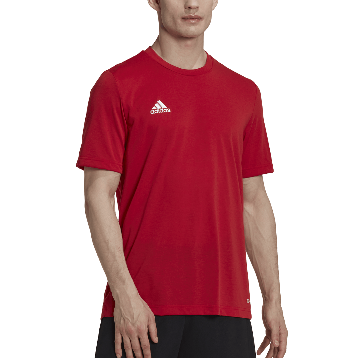 Adidas entrada top poly shorts