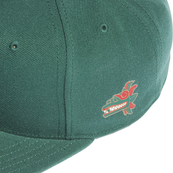 Mexico Home Snapback Cap Sports Basement