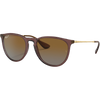 Erika Trans Dark Brown/Gradient Brown Polarized front