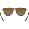 Erika Trans Dark Brown/Gradient Brown Polarized back