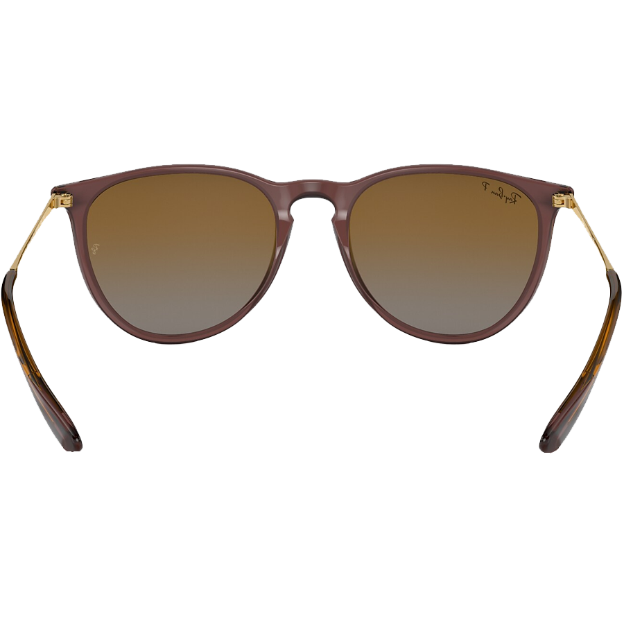 Erika Trans Dark Brown/Gradient Brown Polarized alternate view