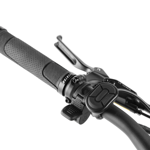 Level.2 StepThrough Sports Basement