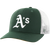 DGA-Dark Green