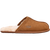 CHE-Chestnut