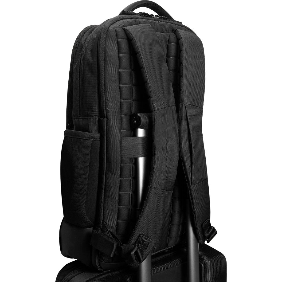Sports shop authority backpacks