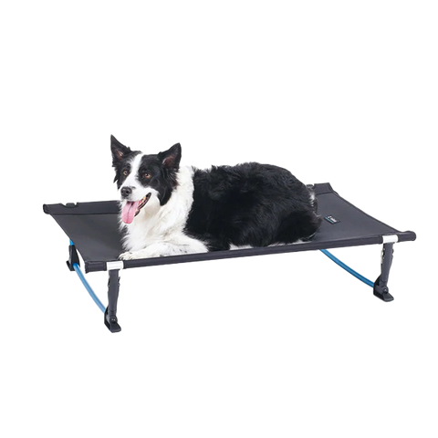 Elevated Dog Cot Large