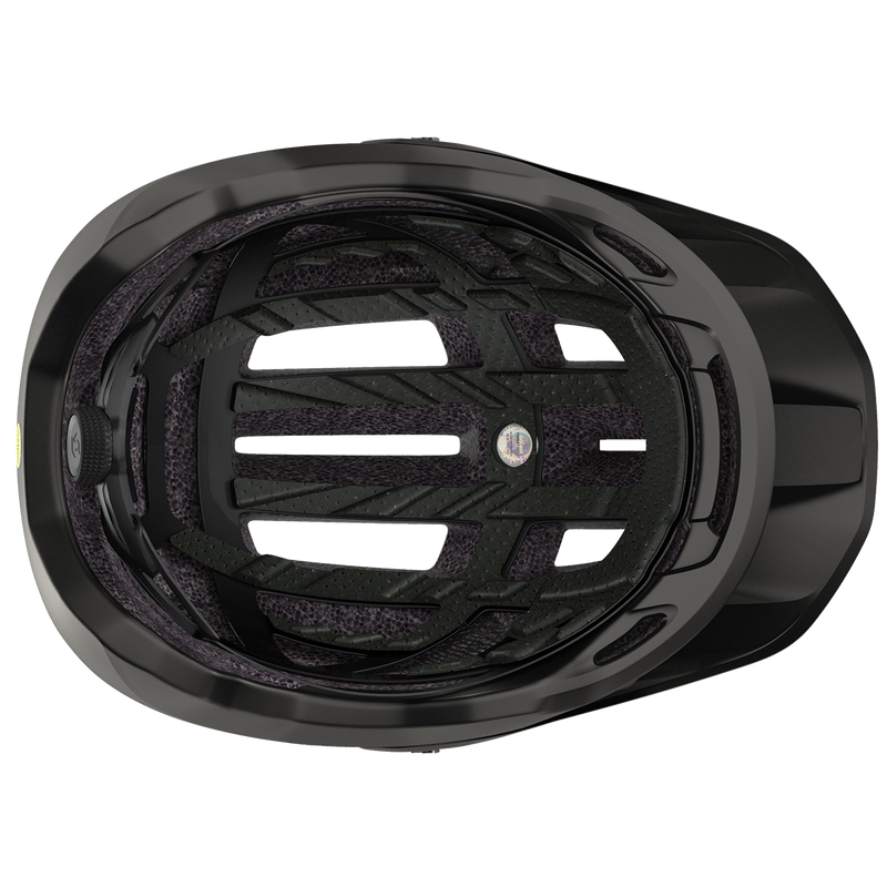 Stego Plus, Scott Stego Plus inside.