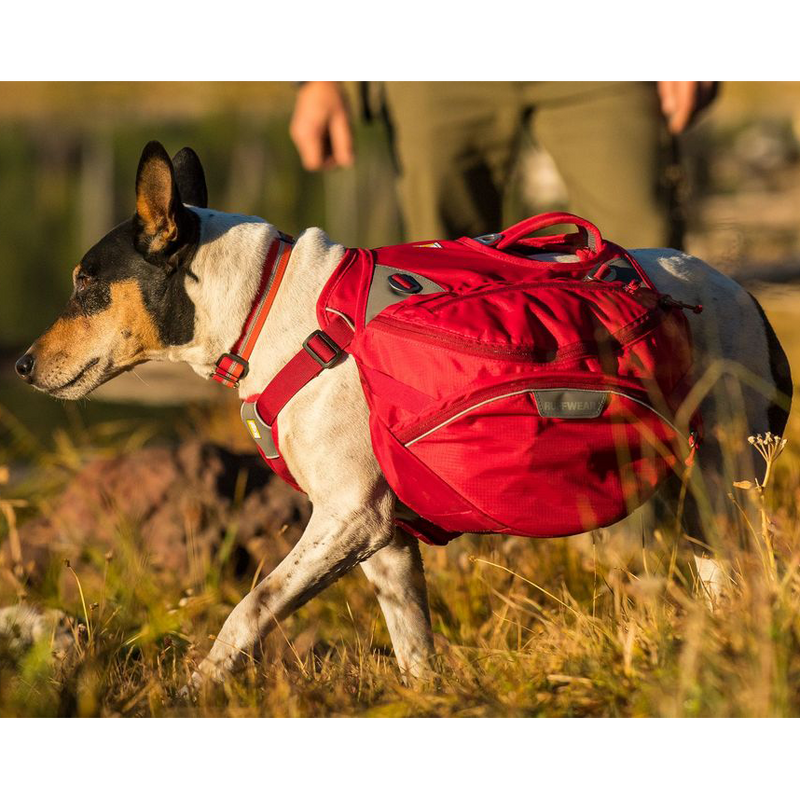 Palisades Pack, Ruffwear Palisades Pack