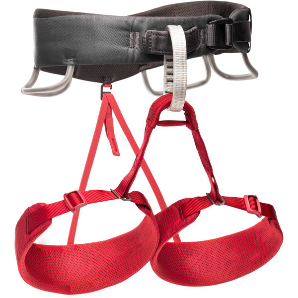 Women's Momentum Harness, Featured Image