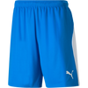 Puma Men's Liga Shorts