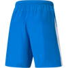 Puma Men's Liga Shorts