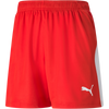 Puma Youth Liga Shorts