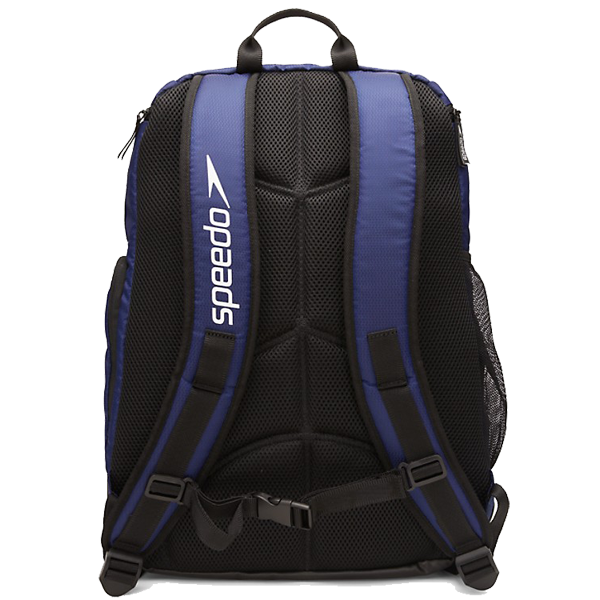 Teamster 2.0, Speedo Teamster 2.0