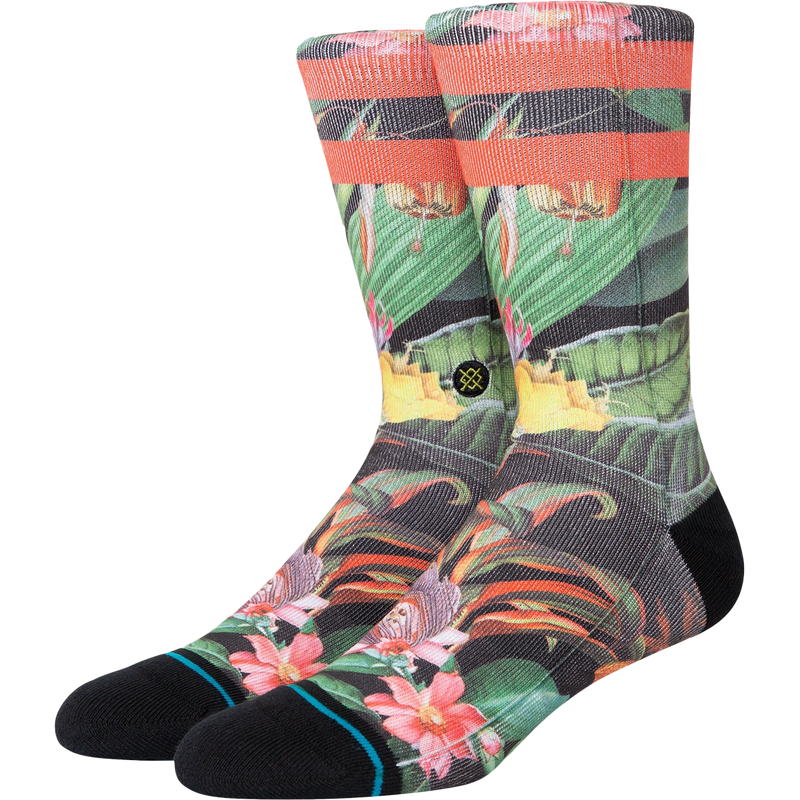 Playa Larga, Featured Image