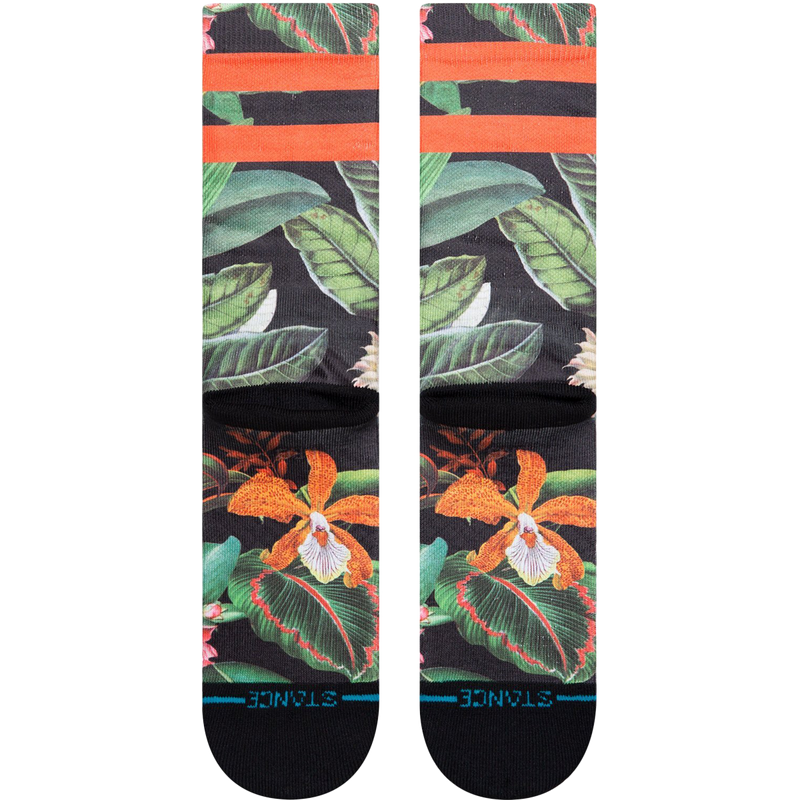 Playa Larga, Stance Playa Larga