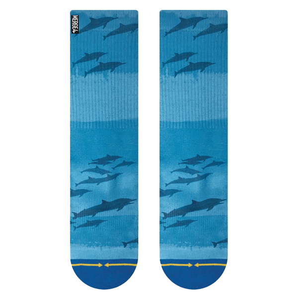 Dave Nelson Dolphins