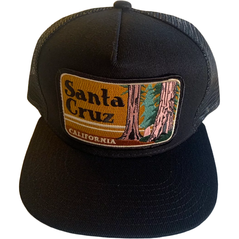 Santa Cruz Trucker, Featured Image