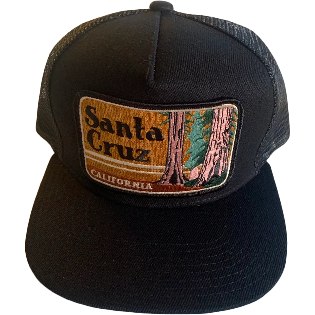 Santa cruz discount bikes hat