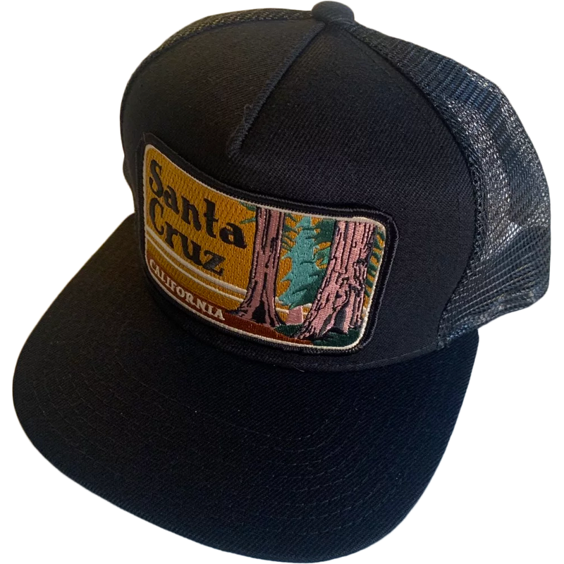 Santa Cruz Trucker, Bart Bridge Santa Cruz Trucker