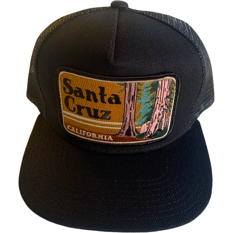 Santa Cruz Trucker Sports Basement