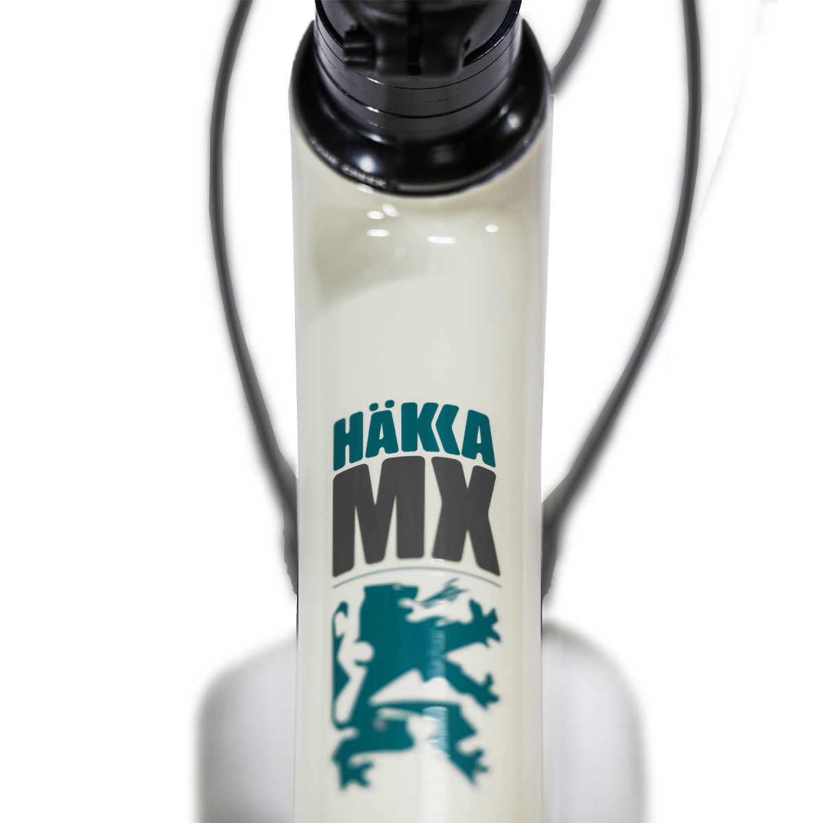 SB Custom Build: Hakka MX Rival/GX AXS 700c alternate view