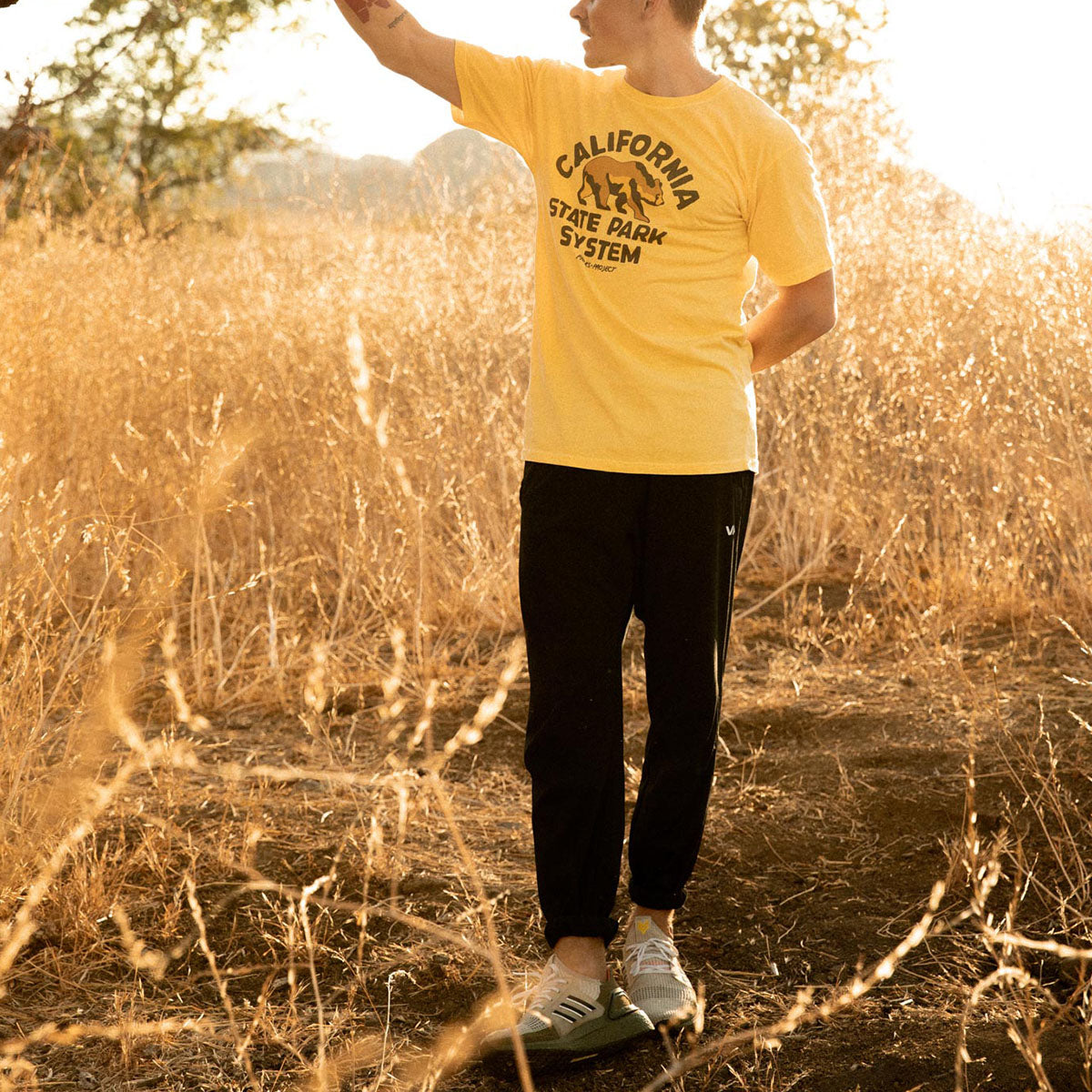 California State Park System Vintage Bear Logo Tee alternate view