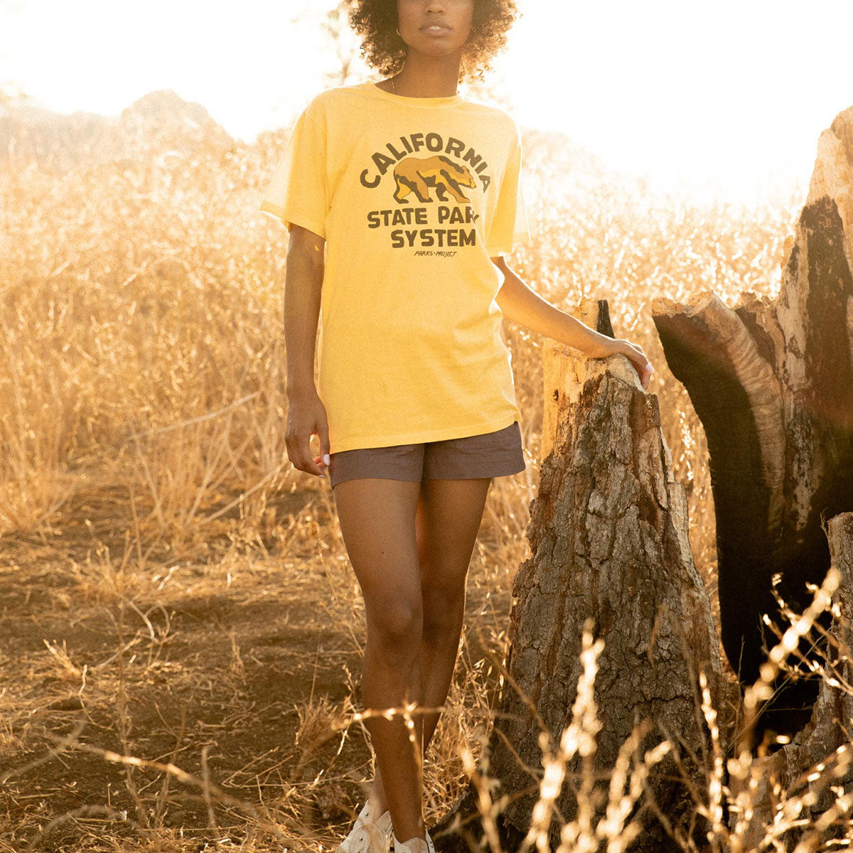 California State Park System Vintage Bear Logo Tee alternate view