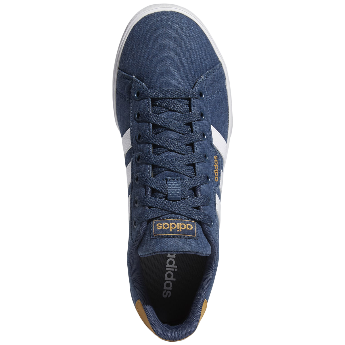 Adidas daily 2.0 us quiz best sale