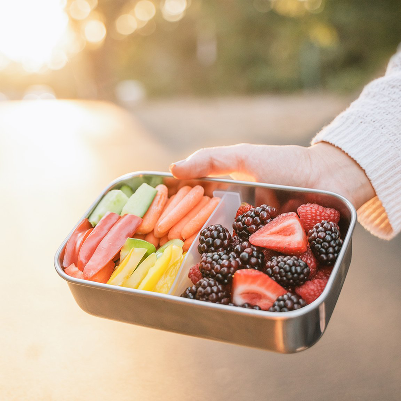 Divided Rectangle Container - Ocean, EcoVessel Divided Rectangle Container - Ocean