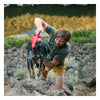 Ruffwear Web Master Harness 025-Twilight Gray