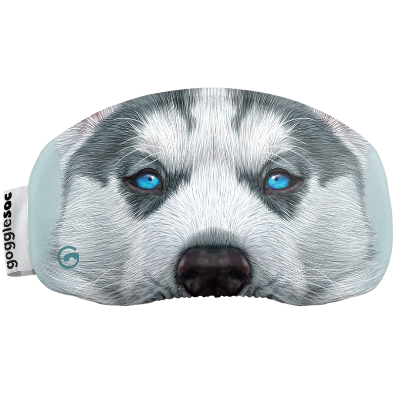 Husky Soc, Featured Image