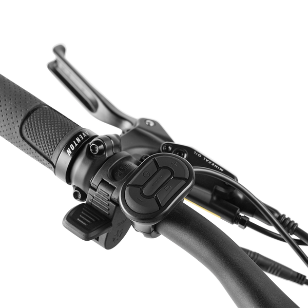 Level.2 Commuter Sports Basement