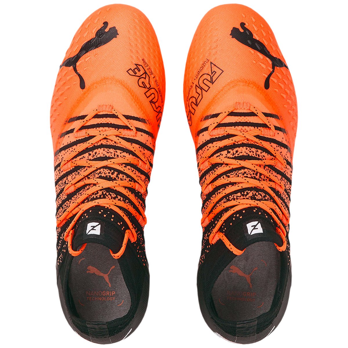 Future 2.3 2025 netfit tt