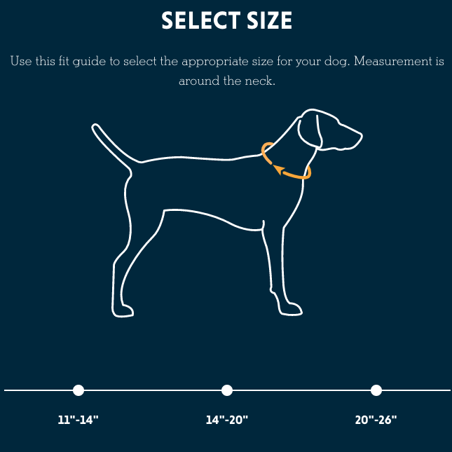 Crag Collar, Ruffwear Crag Collar