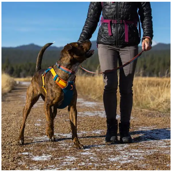 Front Range Harness, Ruffwear Front Range Harness Red Sumac