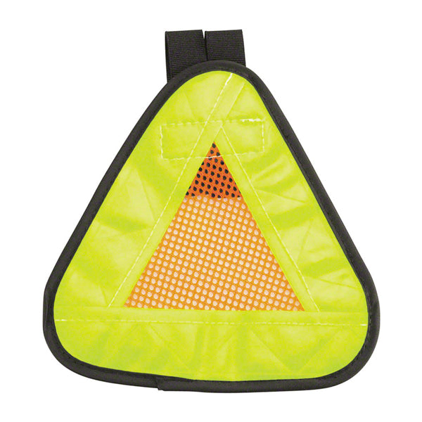 Orange/Yellow Aardvark Reflect. Triangle, Featured Image