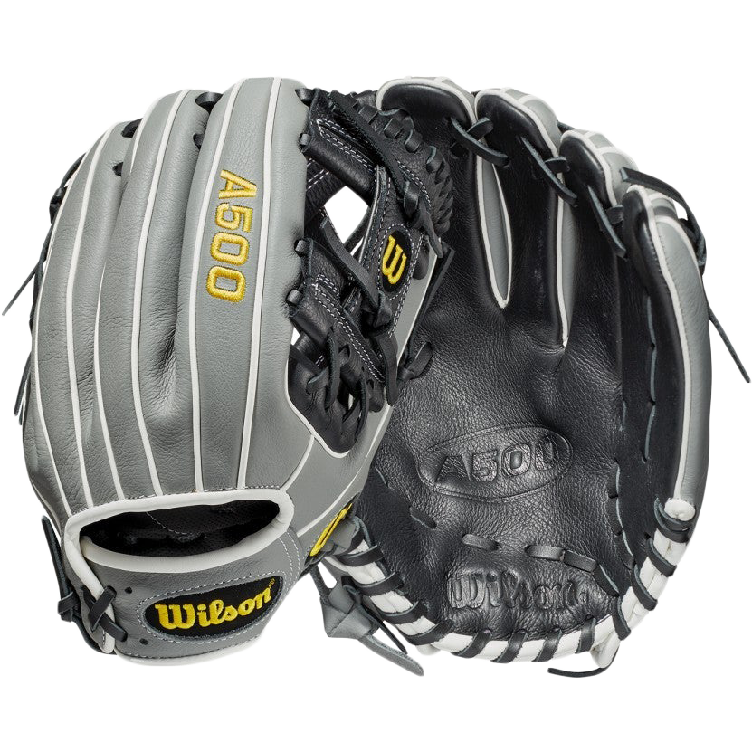 Wilson 2024 h web