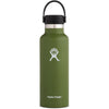 Hydro Flask Standard Mouth 18 oz Olive