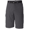 Columbia Men's Silver Ridge Cargo Shorts 10" 028-Grill